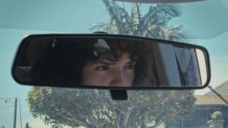 The Life of the Party