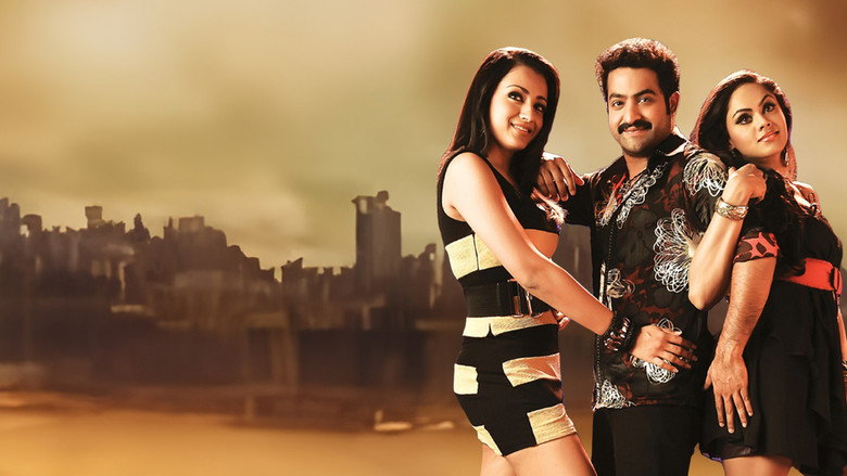Dhammu backdrop 1