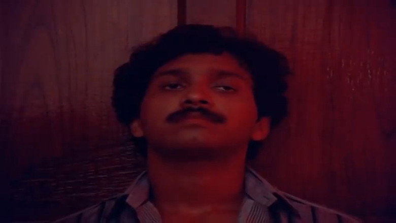 Irakal backdrop 5