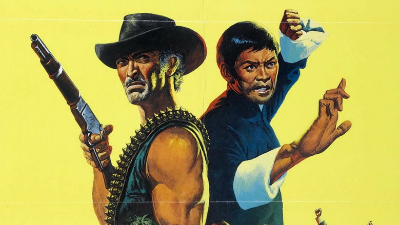 The Stranger and the Gunfighter backdrop 6