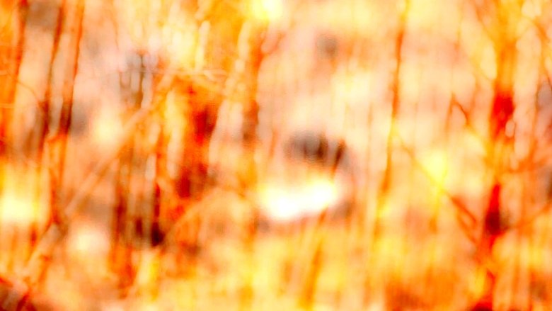 i weep for this place that is lost to me forever