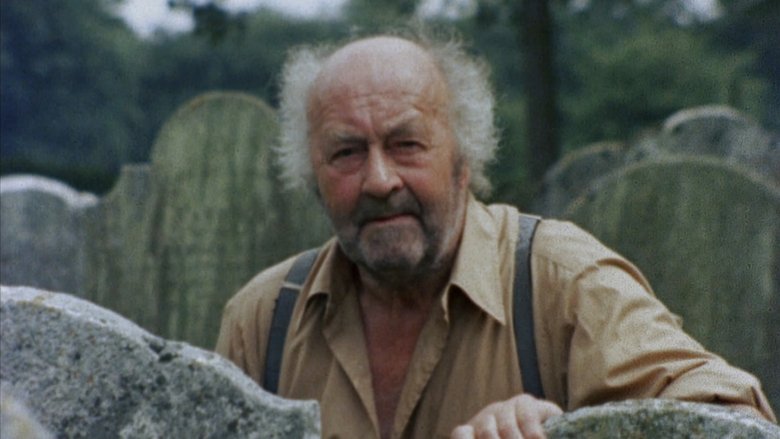 David Fanshawe