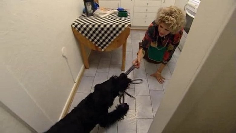 Episode 6