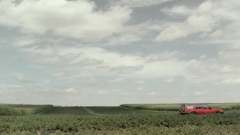 Meet Me in the Woods backdrop 3