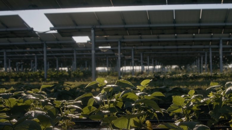 Save the Farm, Save the Future