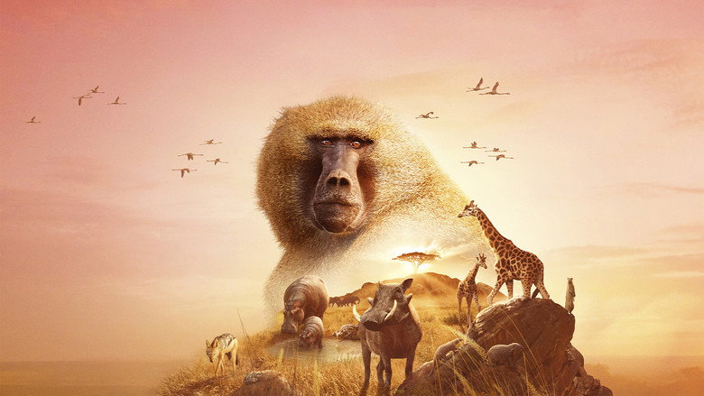 Serengeti backdrop 9
