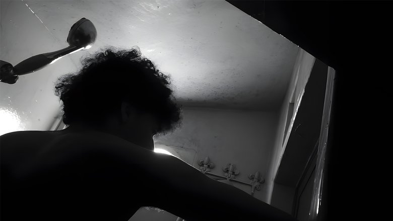 Shadows of Silence