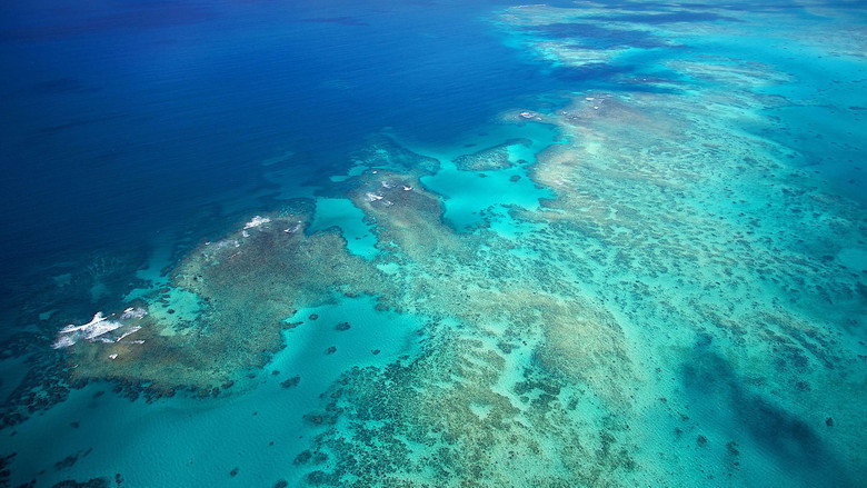 Ultimate Freedive: The Great Barrier Reef backdrop 2
