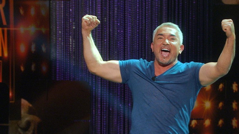 Cesar Millan: Viva Las Vegas! backdrop 3