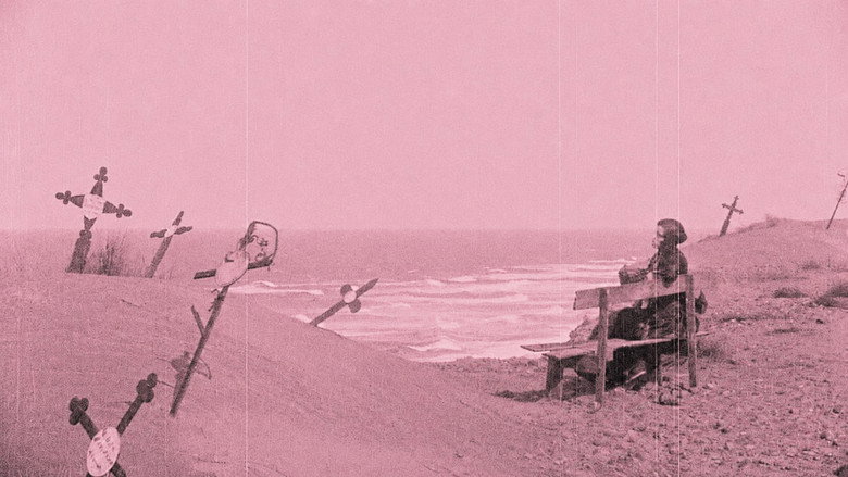 Nosferatu backdrop 3