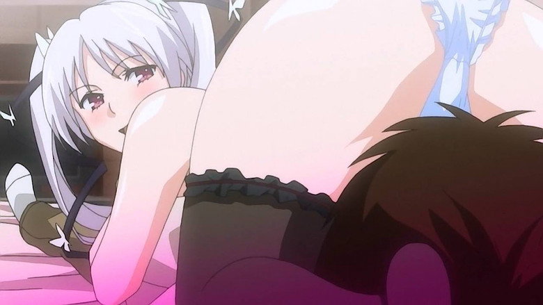 Ojou-sama☆Yomeiri Kousou! backdrop 2