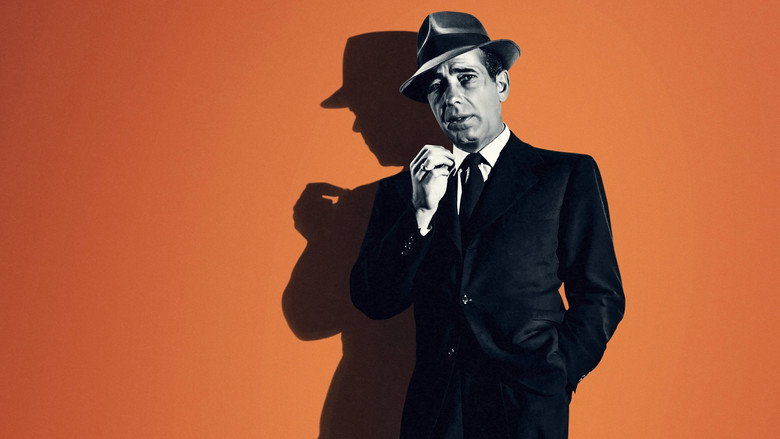 Bogart: Life Comes in Flashes backdrop 5