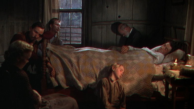 The Yearling backdrop 7