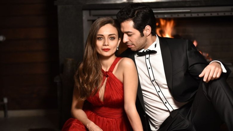 Erçin Karabulut