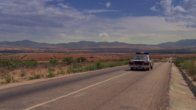 Highway Patrolman backdrop 6