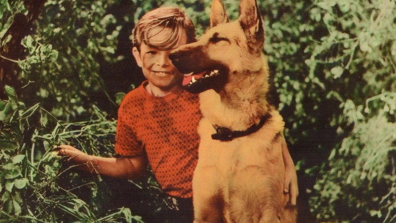 A Dog's Best Friend backdrop 1