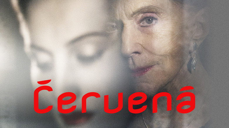Červená backdrop 4