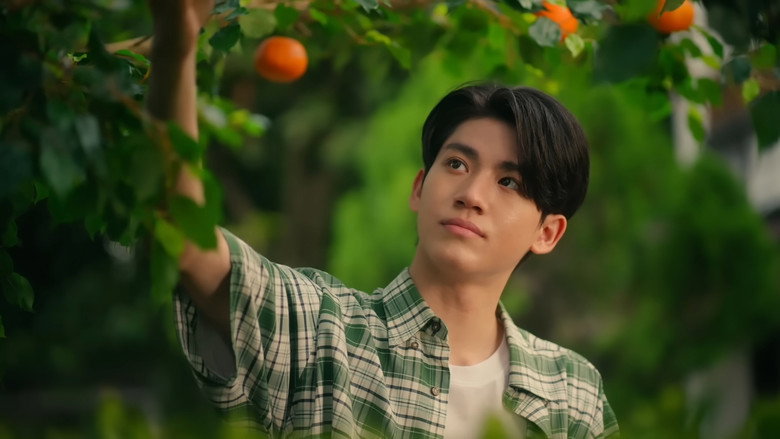 When Oranges Fall backdrop 6