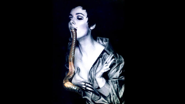 Penny Slinger: Out of the Shadows backdrop 1