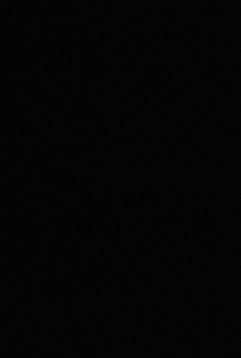 Night of Hunt