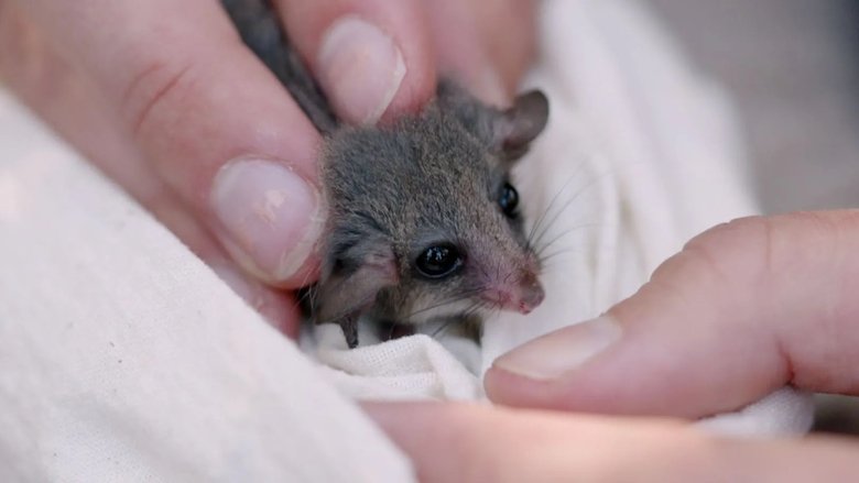 Episode 5 Seed Saving & Sustainable Straw Bale House