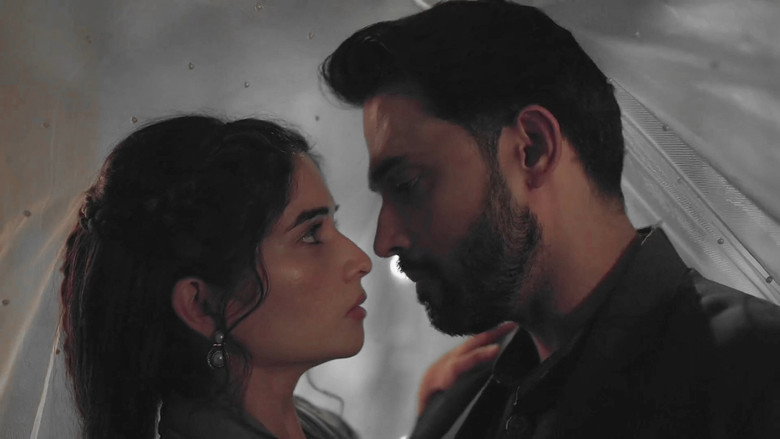 Mahid shocks Seher