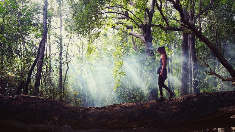 Adho Andha Paravai Pola backdrop 2