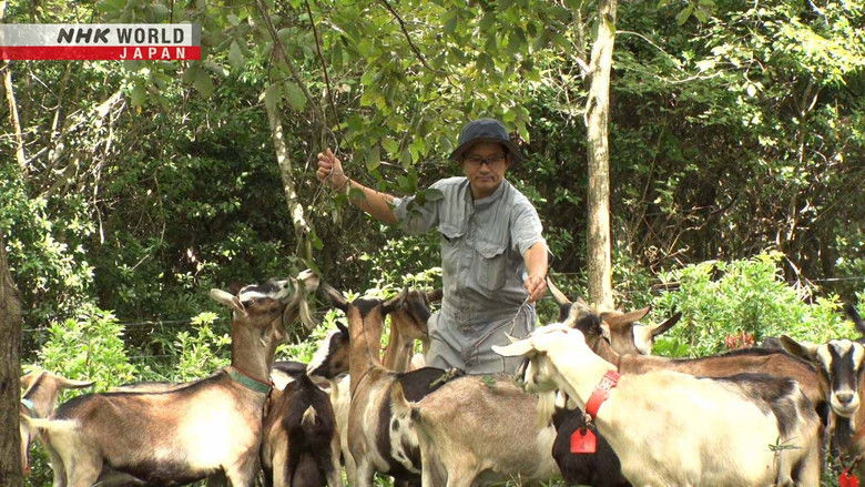 Cheesemaker and Dairy Farmer: Matsubara Masanori