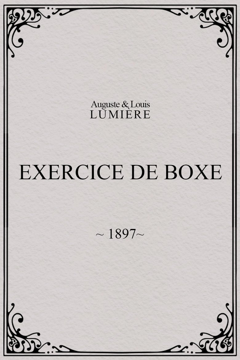 Exercice de boxe