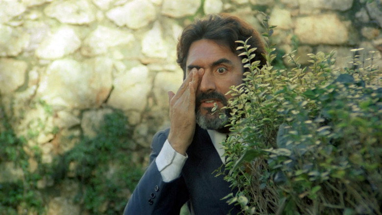 San Pasquale Baylonne, Protector of Women backdrop 8