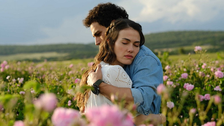Gül Masalı backdrop 3