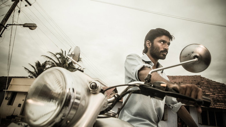 Maryan backdrop 6