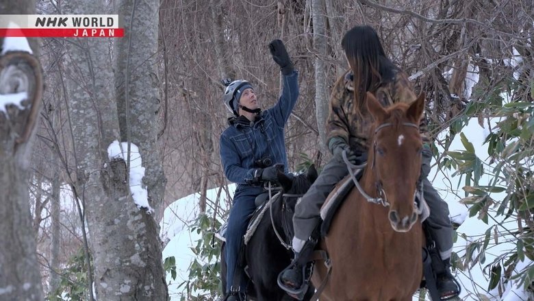Winter Horse Trekking in Spectacular Scenery!