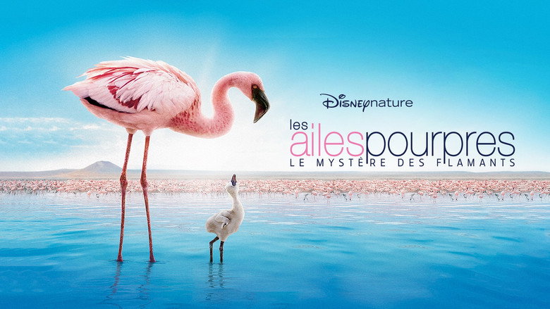 The Crimson Wing: Mystery of the Flamingos backdrop 4