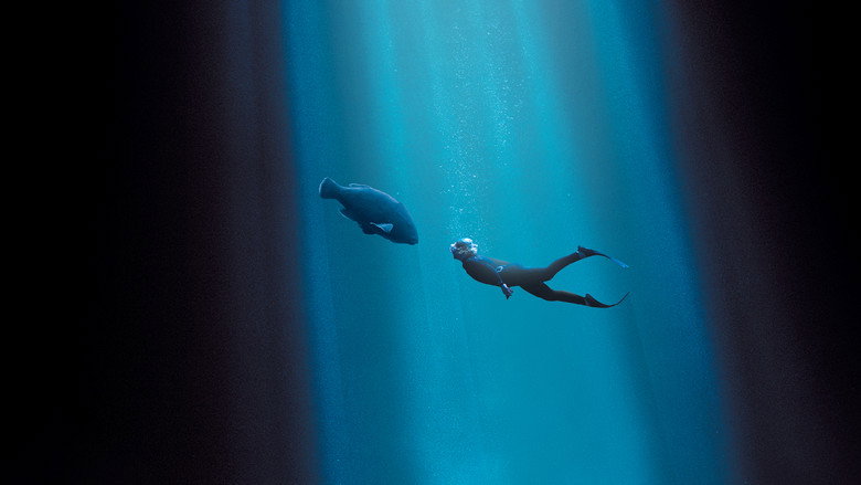 Blueback backdrop 3