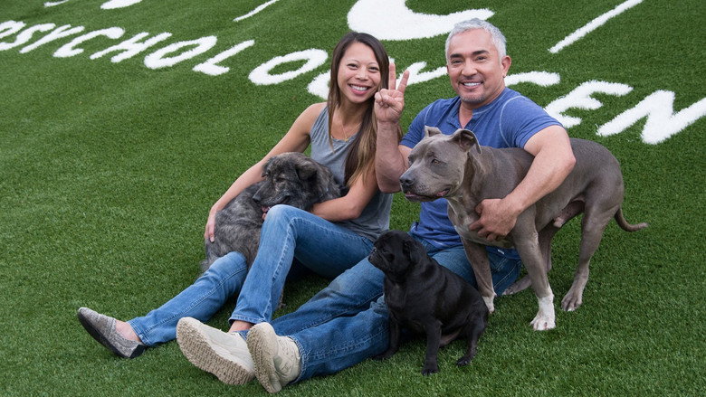Cesar Millan's Dog Nation backdrop 3