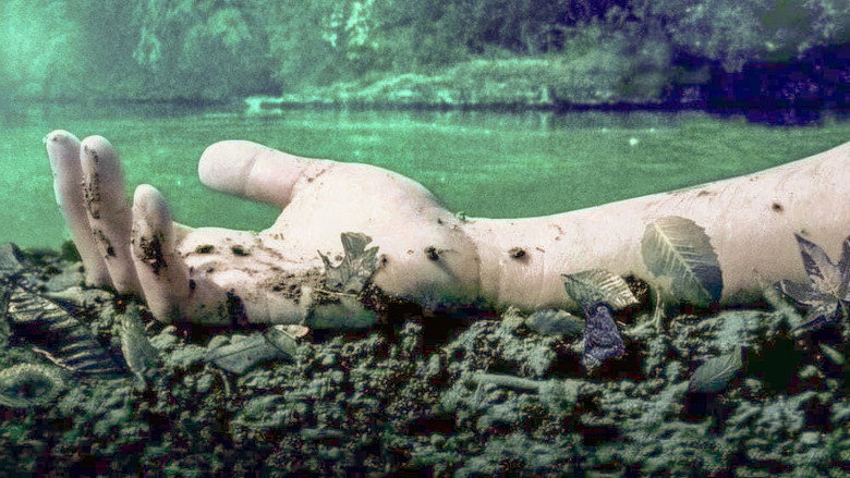 Mean Creek backdrop 2