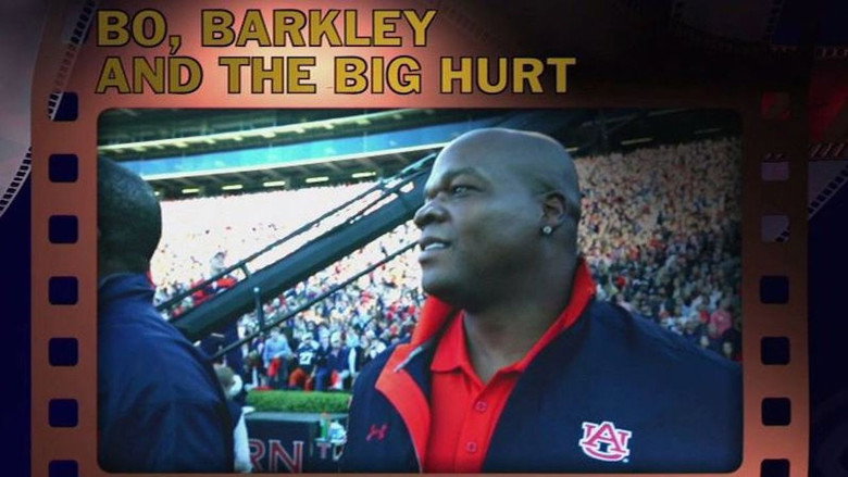 Bo, Barkley and the Big Hurt backdrop 3