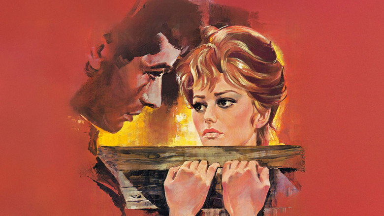 Bebo's Girl backdrop 9