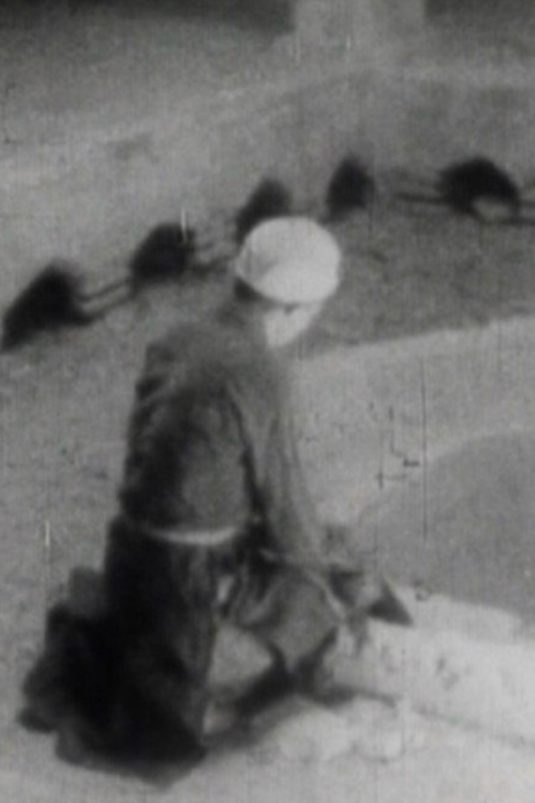 From Isfahan to Abarkooh