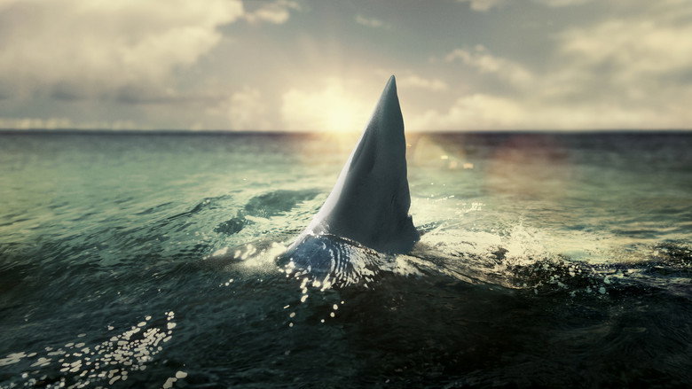 When Sharks Attack 360 backdrop 5