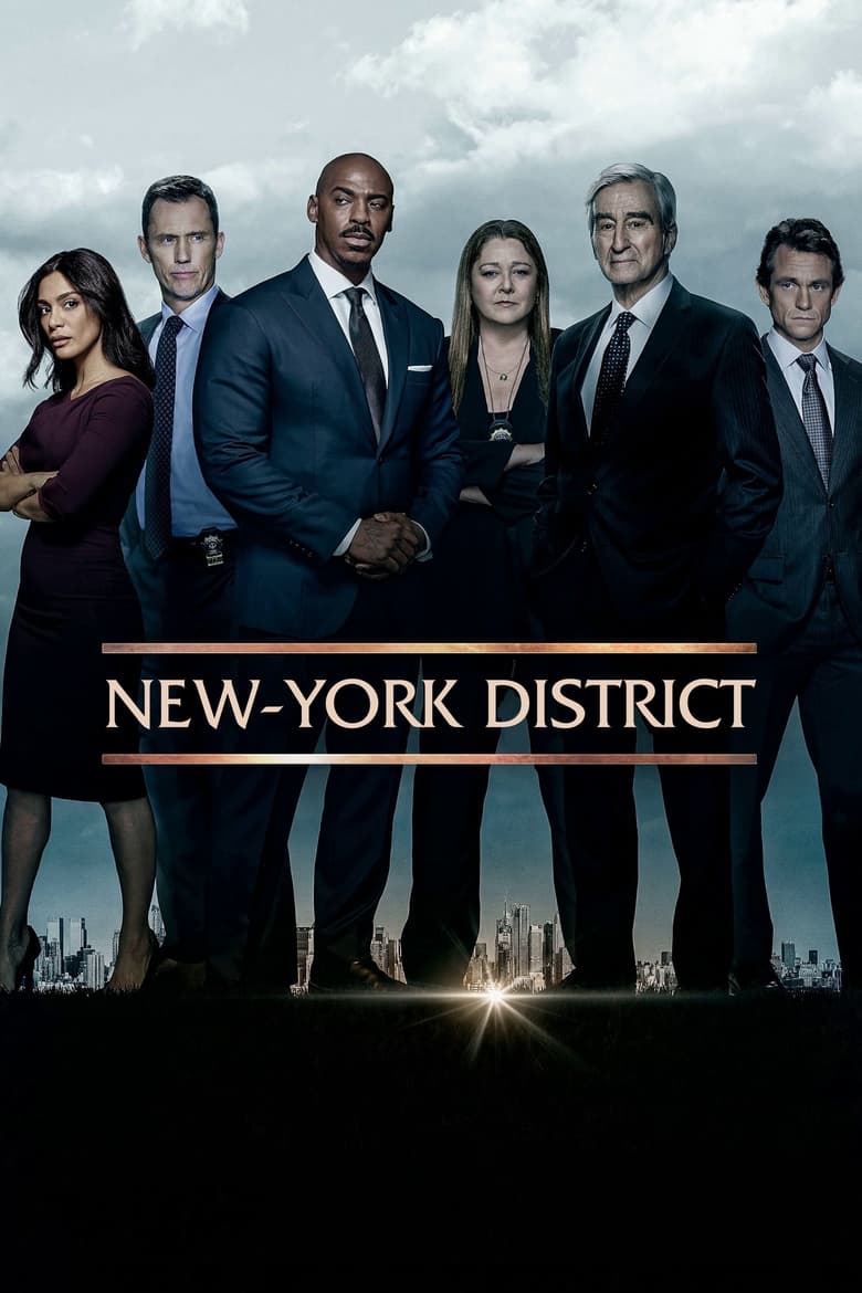 New York, police judiciaire en streaming