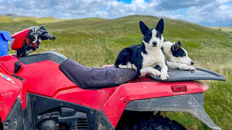 Police Target Badger Crime and Quad Bike Mayhem