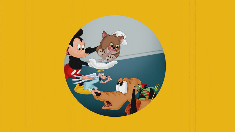 Lend a Paw backdrop 5