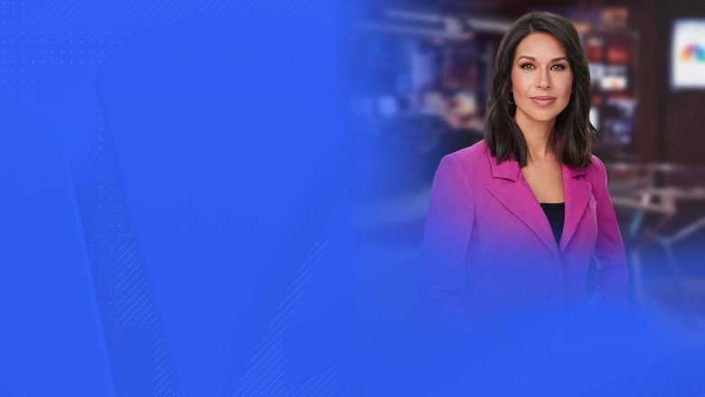 MS NOW Reports backdrop 9