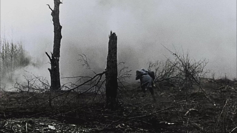 Apocalypse: The Battle of Verdun backdrop 9