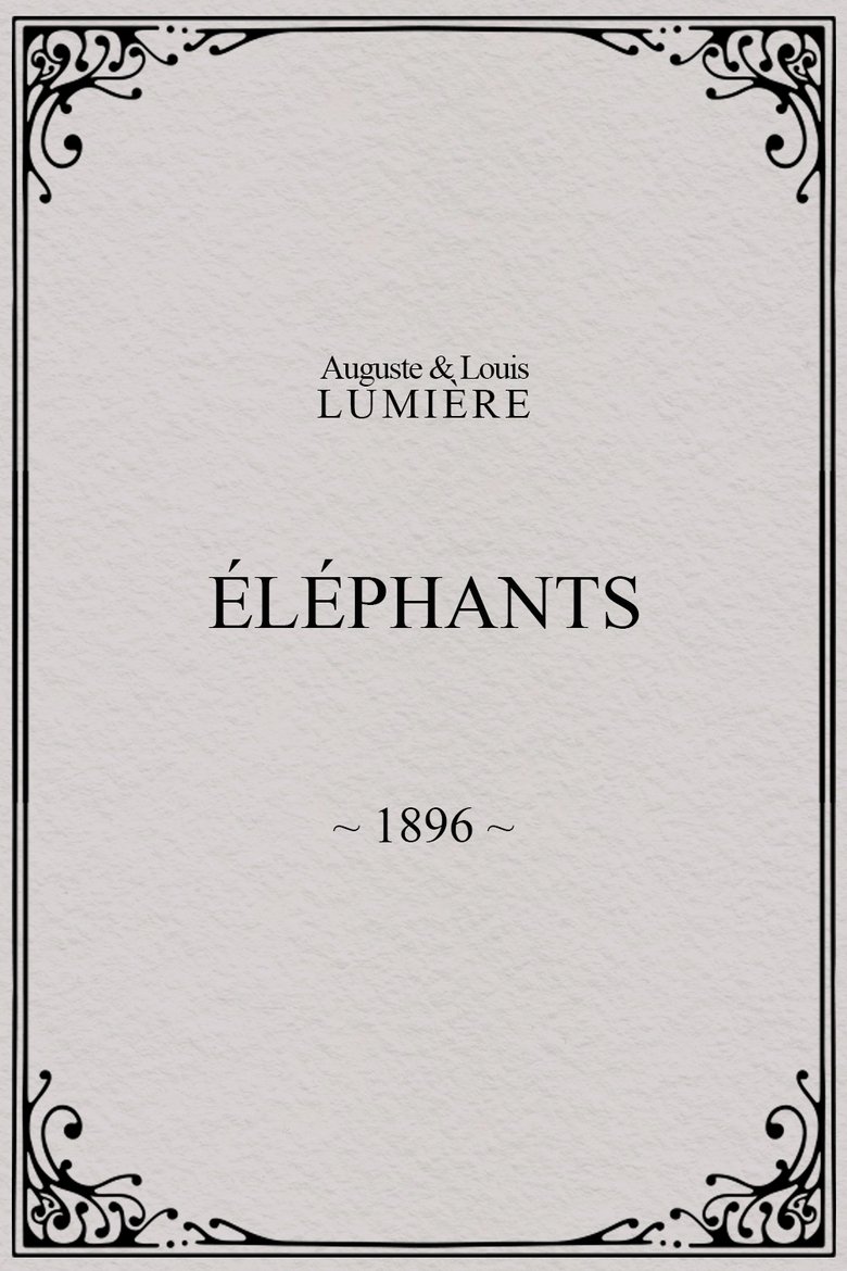 Elephants