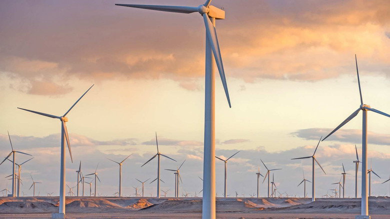 Wind Turbines, Car Tyres, Mushrooms
