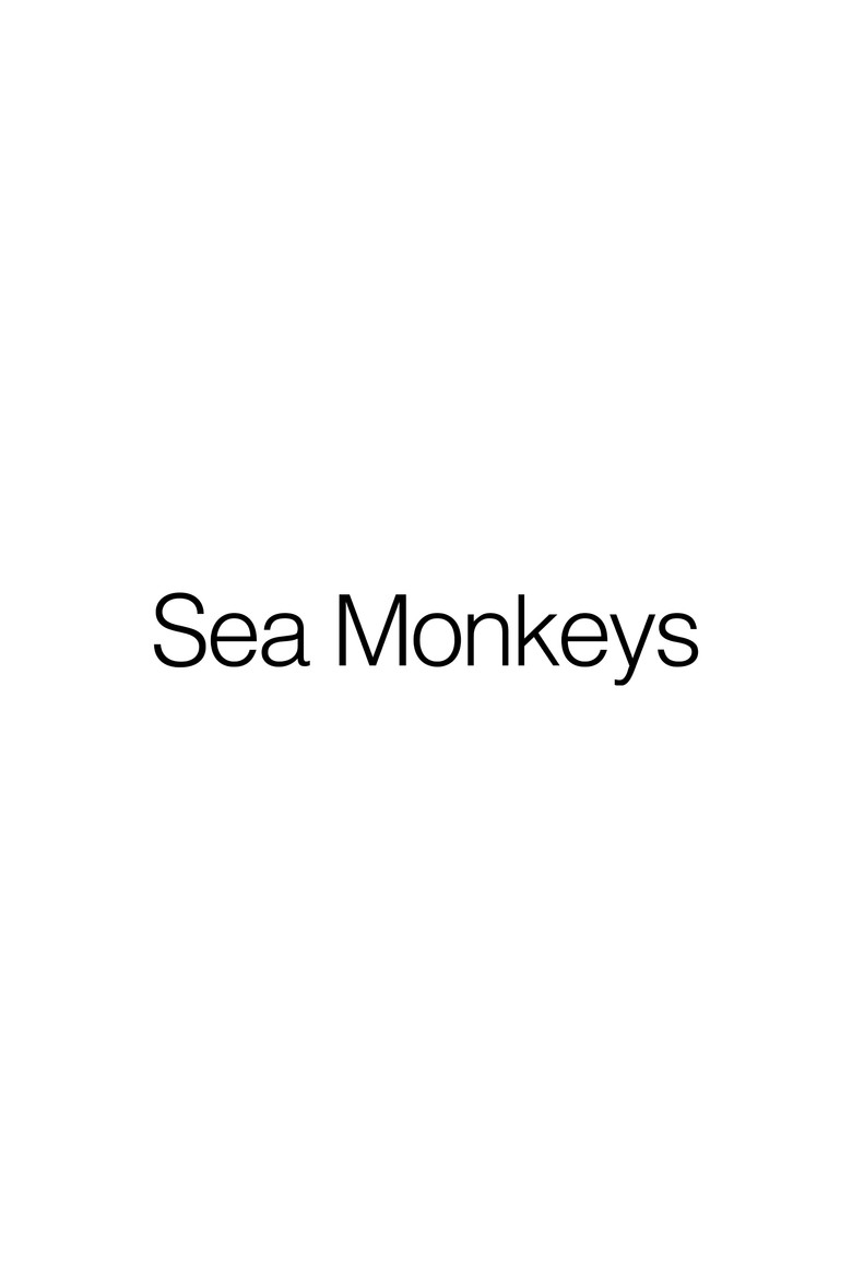 Sea Monkeys