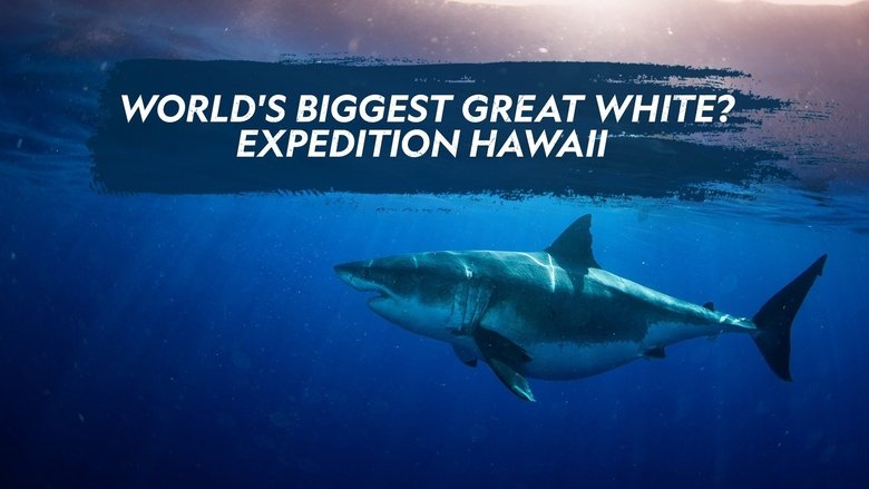 Movie World's Biggest Great White? Poster Images, BackDrops Images, Logo Images backdrops 0 /rhle33LLnHdMkFzAVEfKU3oPh3d.jpg
